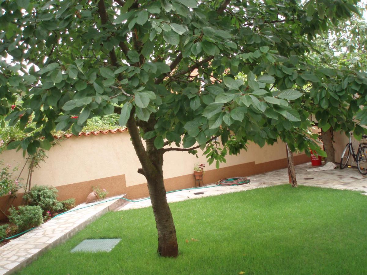 דירות פאז'אנה Haus Milan Ap3 מראה חיצוני תמונה